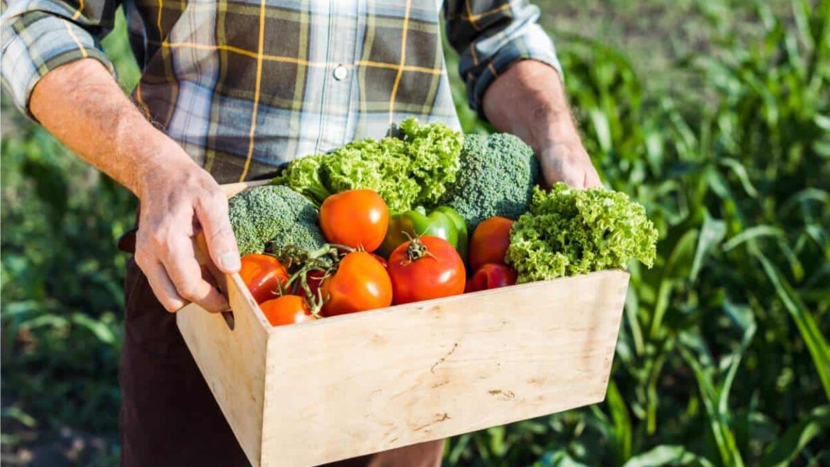 agricoltura biologica certificata