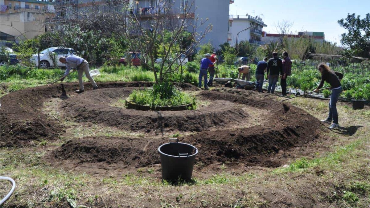 orto sinergico urbano