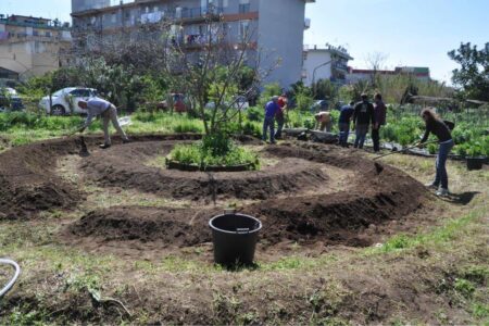 orto sinergico urbano