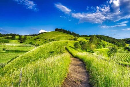 campagna biologica