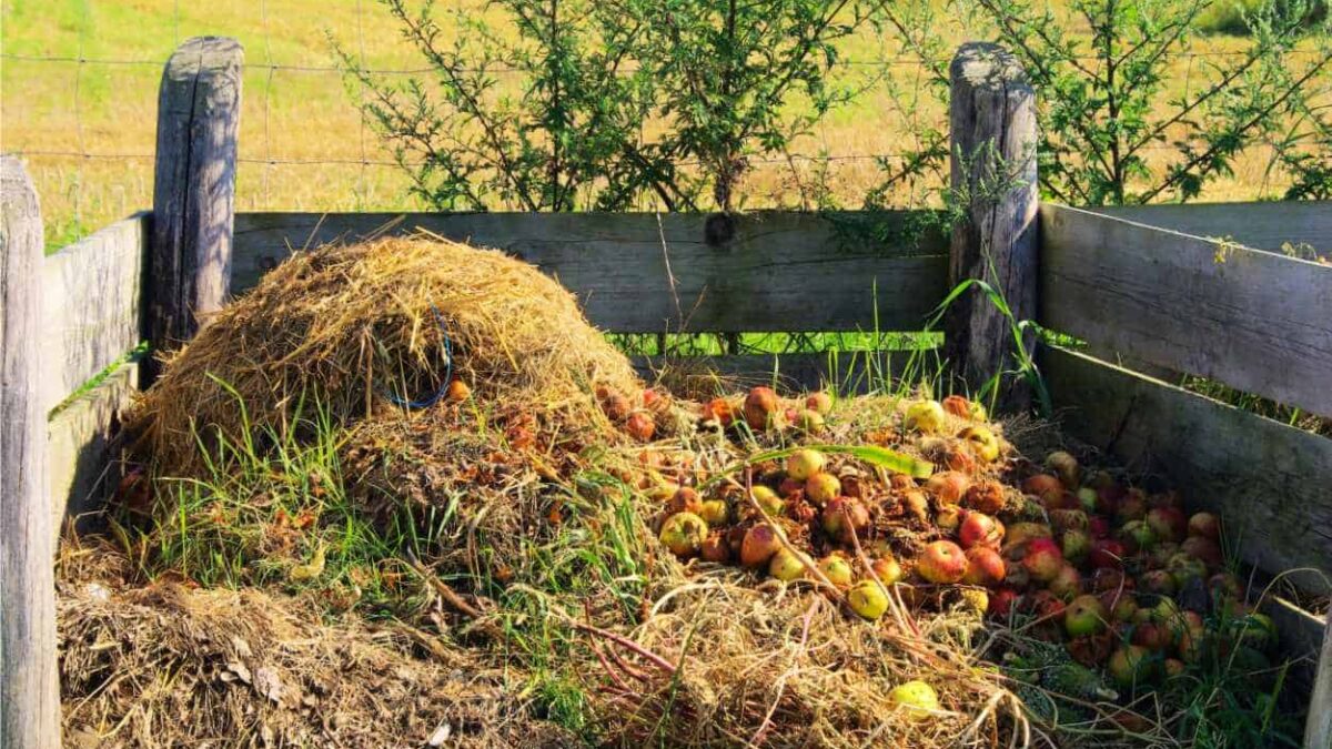 compost