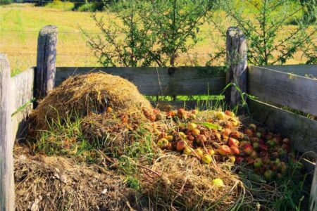 compost