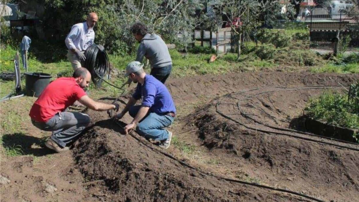 irrigare a goccia l'orto sinergico