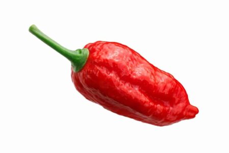 naga morich