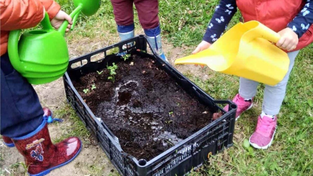 orto in cassetta coi bambini