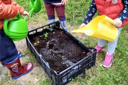 orto in cassetta coi bambini