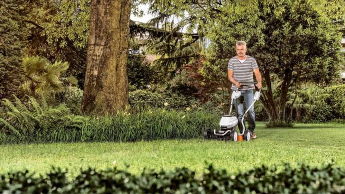 prato gestito senza raccogliere lo sfalcio