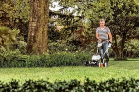 prato gestito senza raccogliere lo sfalcio