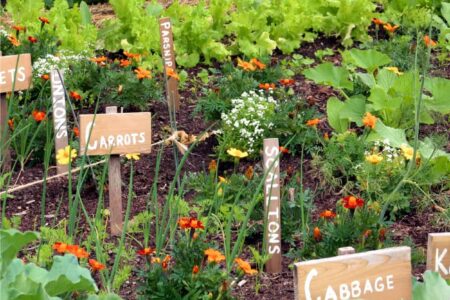 orto resiliente e biodiversità