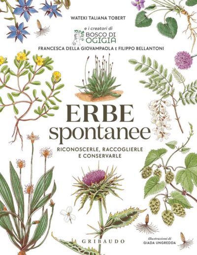 erbe spontanee libro