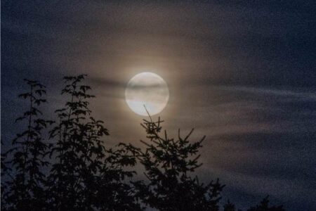 la luna nel cielo