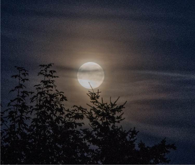 la luna nel cielo