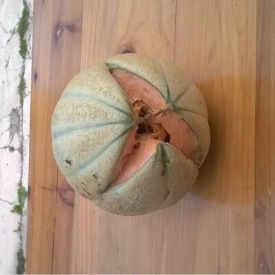 la spaccatura del melone