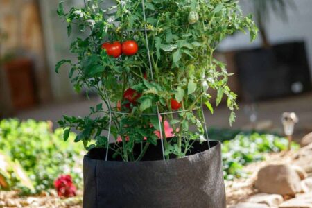 vaso in tessuto con pomodori