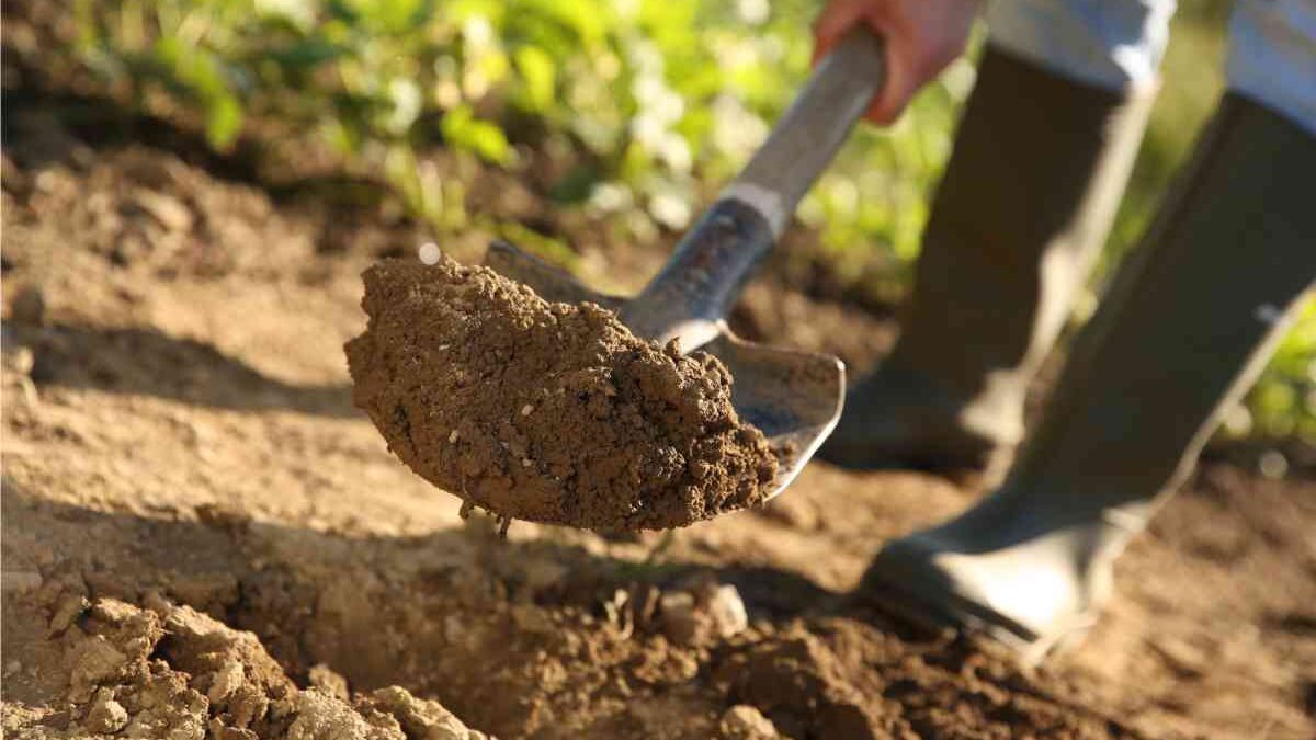 suola di lavorazione sotto terra