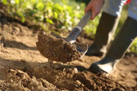 suola di lavorazione sotto terra