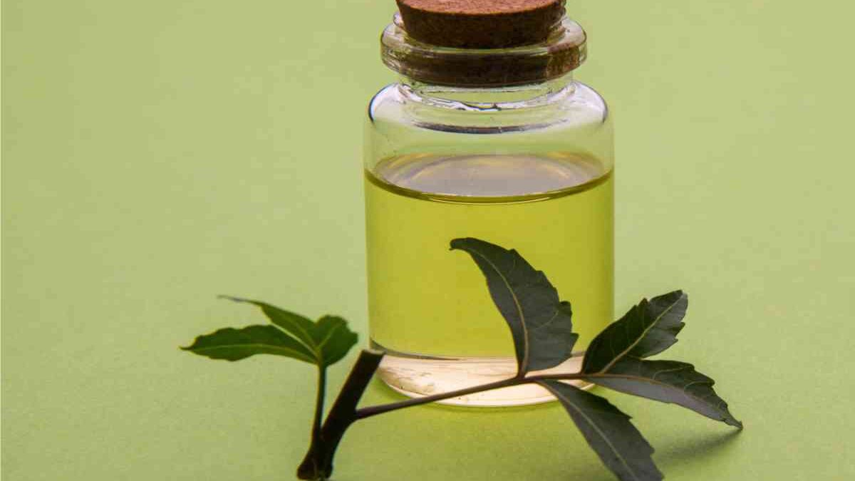 olio di neem
