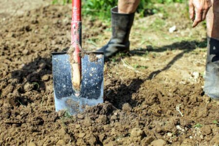 come vangare il terreno